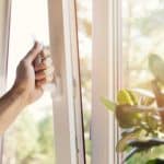 Window