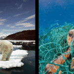 climate change