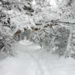 ezgif.com-webp-to-jpg (5)