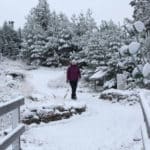 ezgif.com-webp-to-jpg (7)