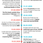 Infographic-timeline