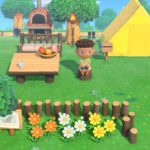 Animal Crossing