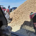 Loading free potatoes