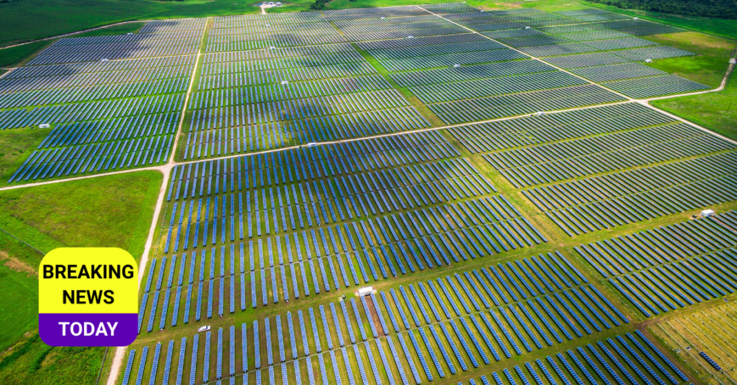 Solar Farm