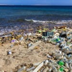 Garbage in the Beach