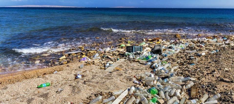 Scientists create bacterial enzyme that recycles plastic bottles in hours