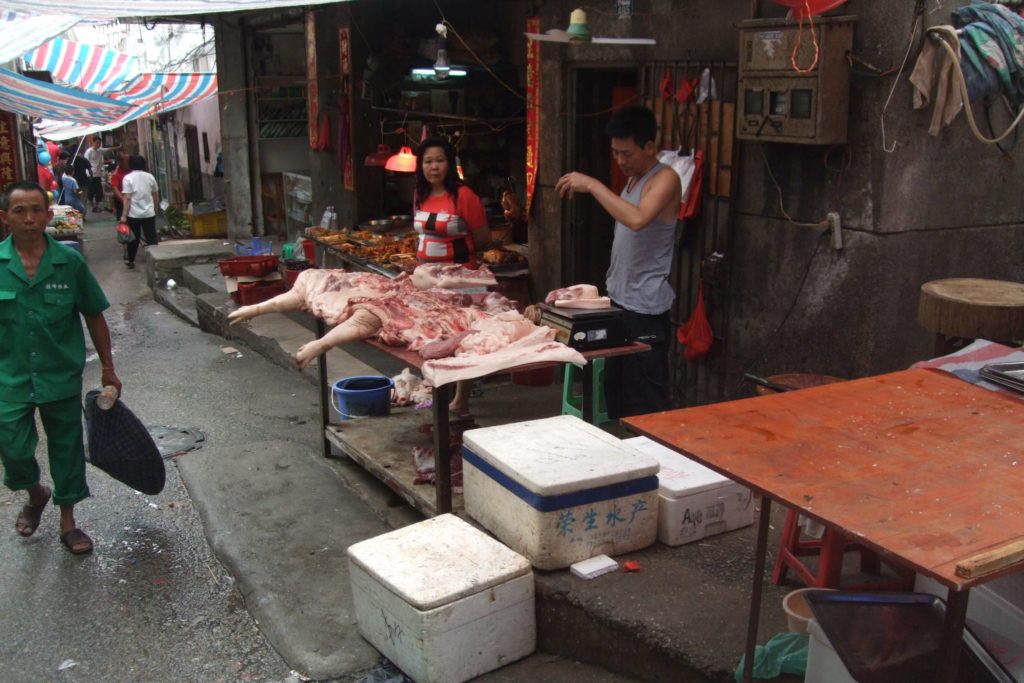 Shenzhen becomes first Chinese city to ban eating cat and dogs