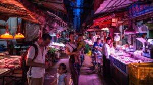Shenzhen becomes first Chinese city to ban eating cat and dogs