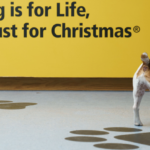 A dog is for life, not just for Christmas