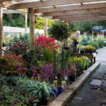 Garden Centre opens (1)