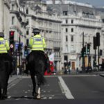 Police horses