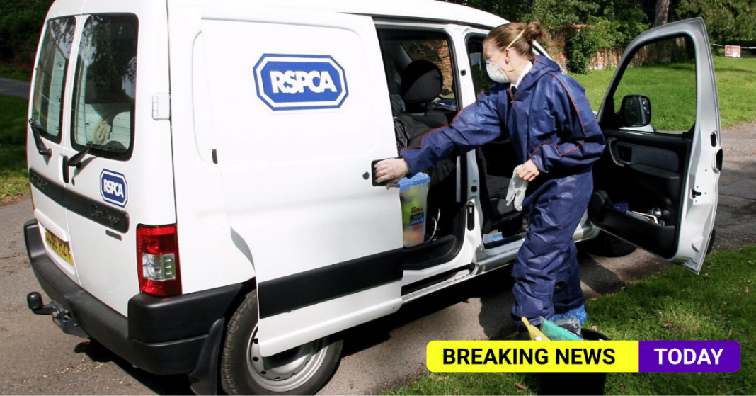 RSPCA rescue van