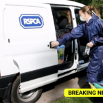 RSPCA Rescue van