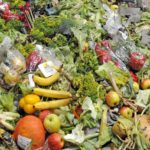 food waste