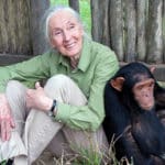 Jane Goodall