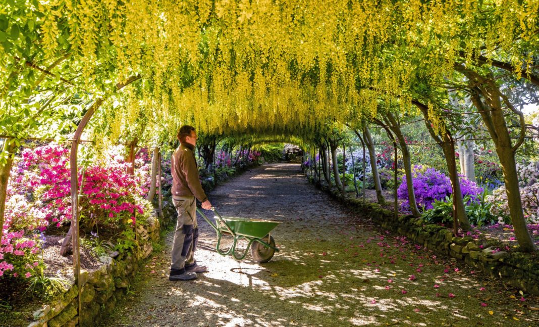 National Trust Planning To Reopen Some Gardens Next Week