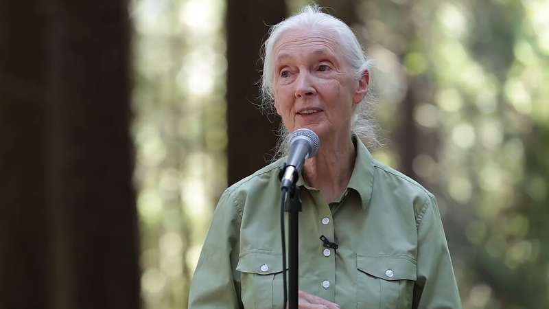 Jane Goodall says Humanity is finished if it fails to adapt after Covid-19