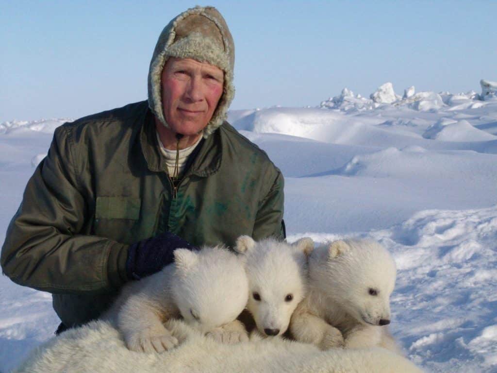 Climate change to wipe out polar bears by end of century, study warns