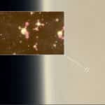 MIT-Venus-Phosphine-02