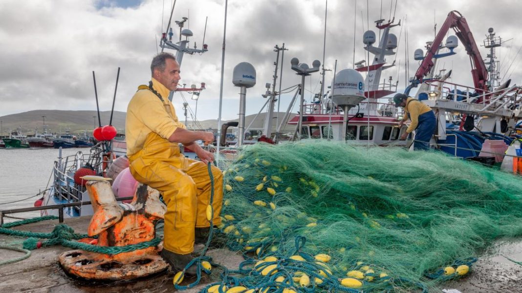 Fishing firms could collapse over Brexit, MPs told