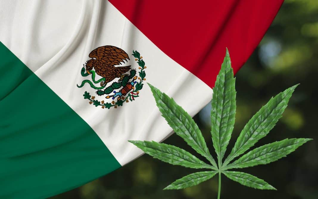 Mexico Set to Legalize cannabis, Becoming World’s Largest Market