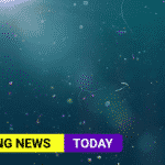 microplastics