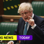 boris NI