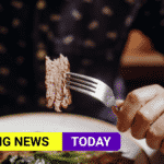 meat