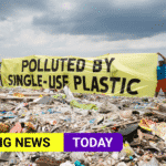 single-use plastic waste