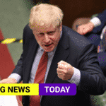 Boris banner