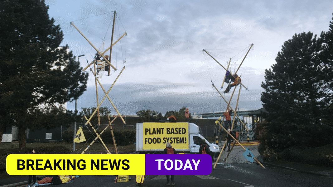 Protesters blockade only UK factory that produces burgers for McDonald's