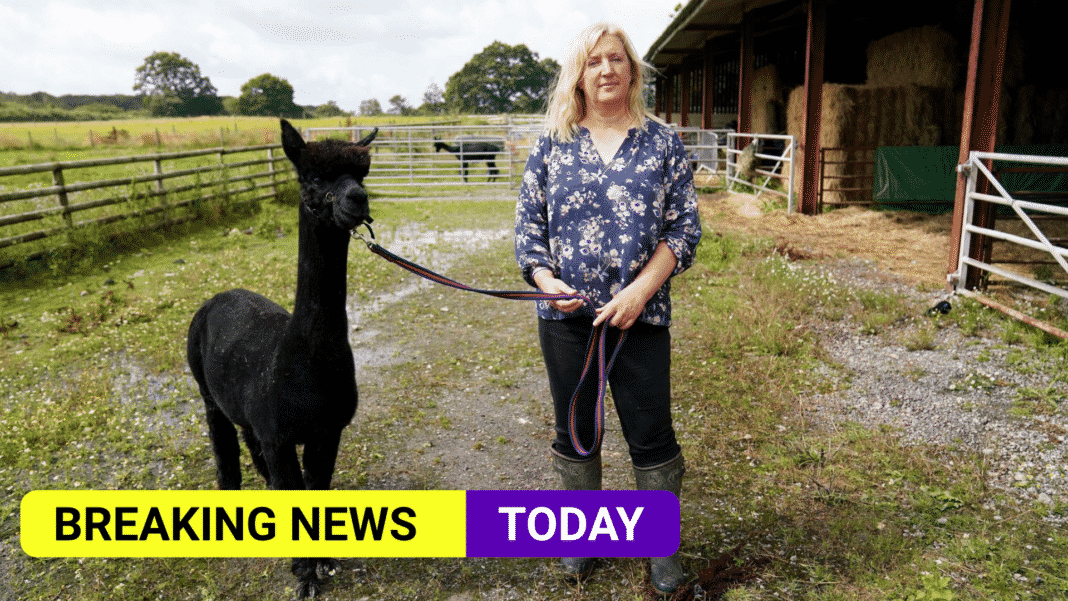 Geronimo the alpaca killed by government 'to prevent spread of disease'