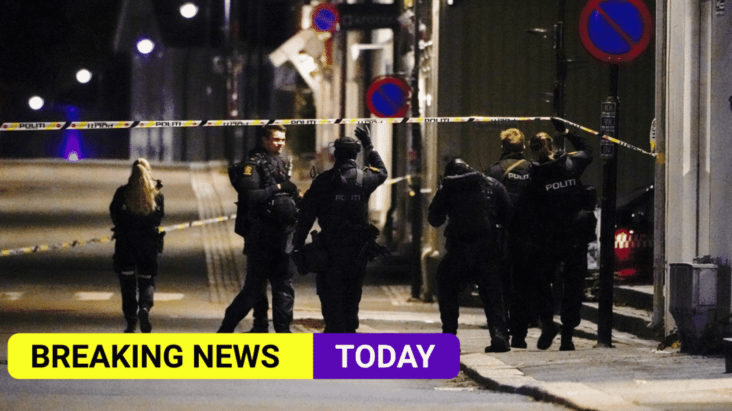 Five people have been killed in Norway bow and arrow attack