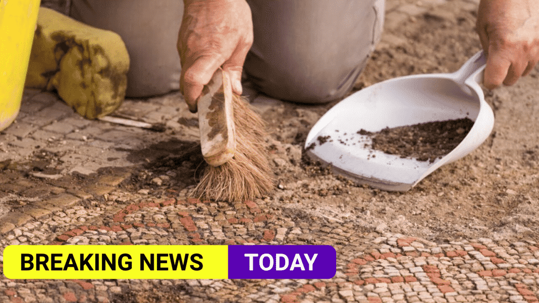 Roman mosaic and villa found in Rutland farmer's field