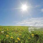sun-1